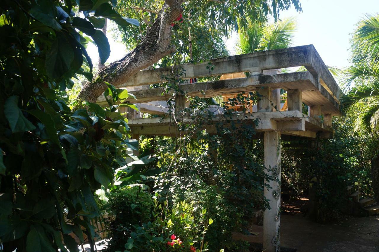Apartments Chez Milady Utila Exteriör bild