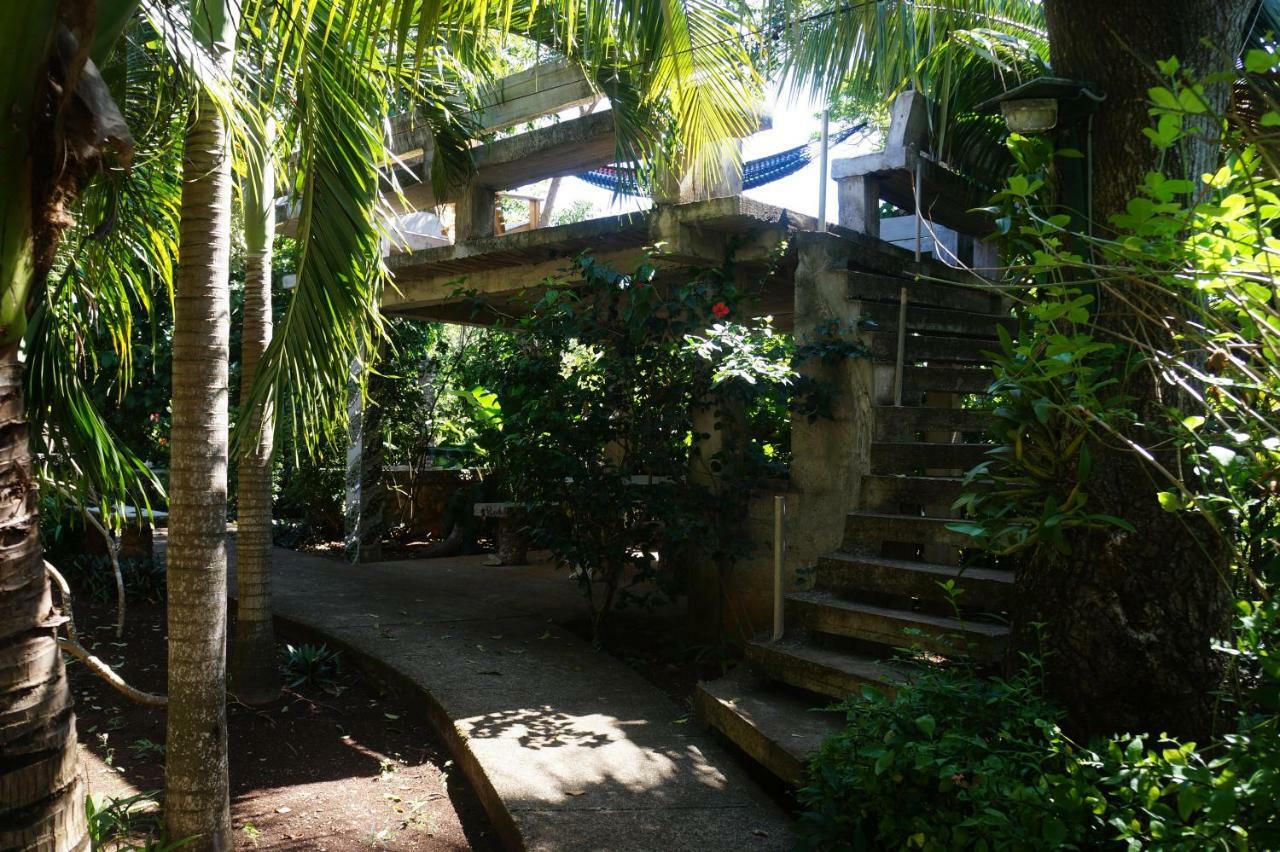 Apartments Chez Milady Utila Exteriör bild